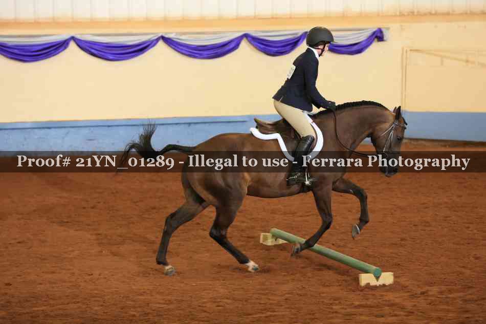 Proof 21YN_01289