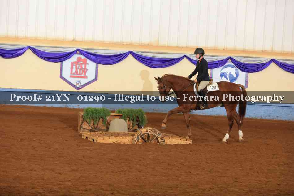Proof 21YN_01290
