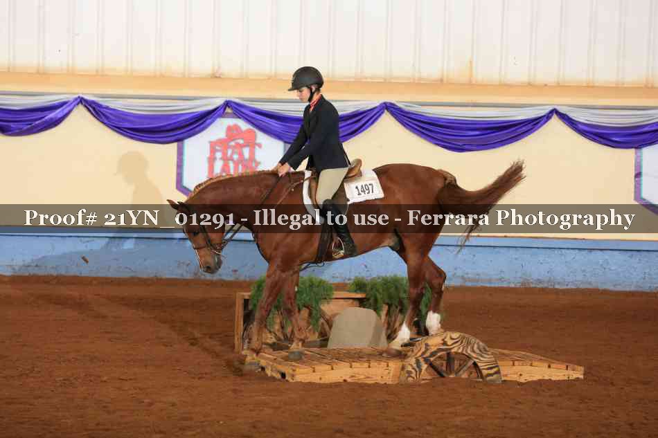 Proof 21YN_01291