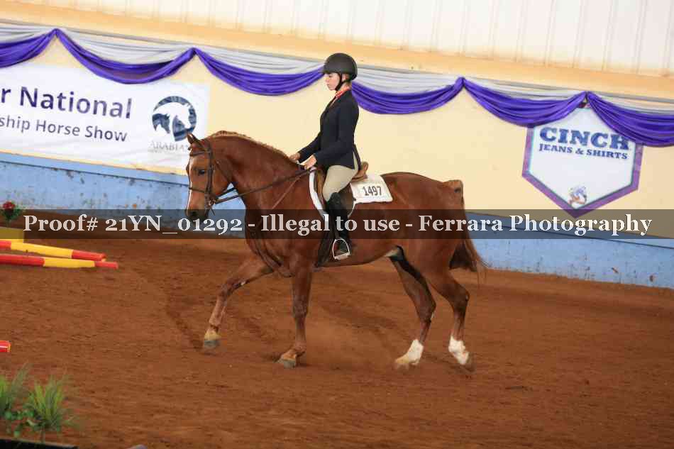Proof 21YN_01292