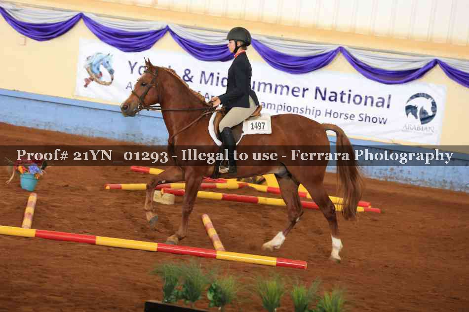 Proof 21YN_01293