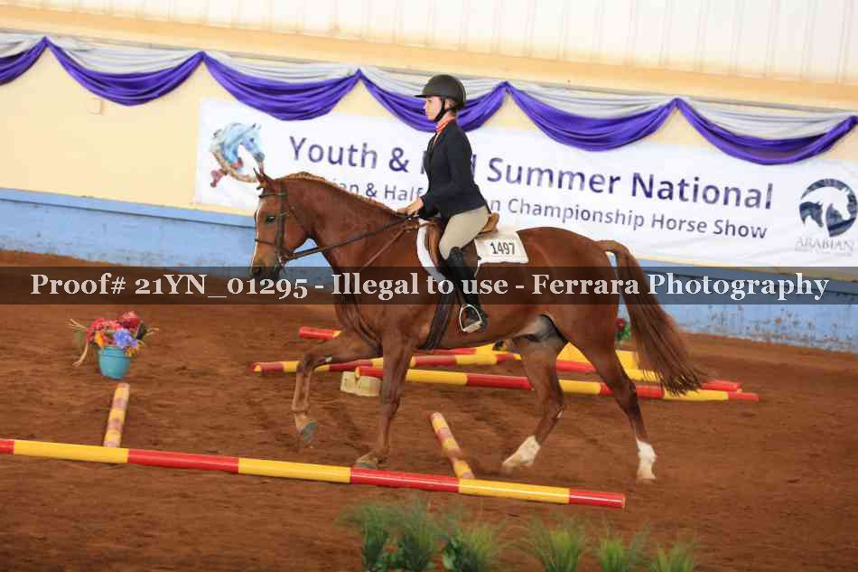 Proof 21YN_01295