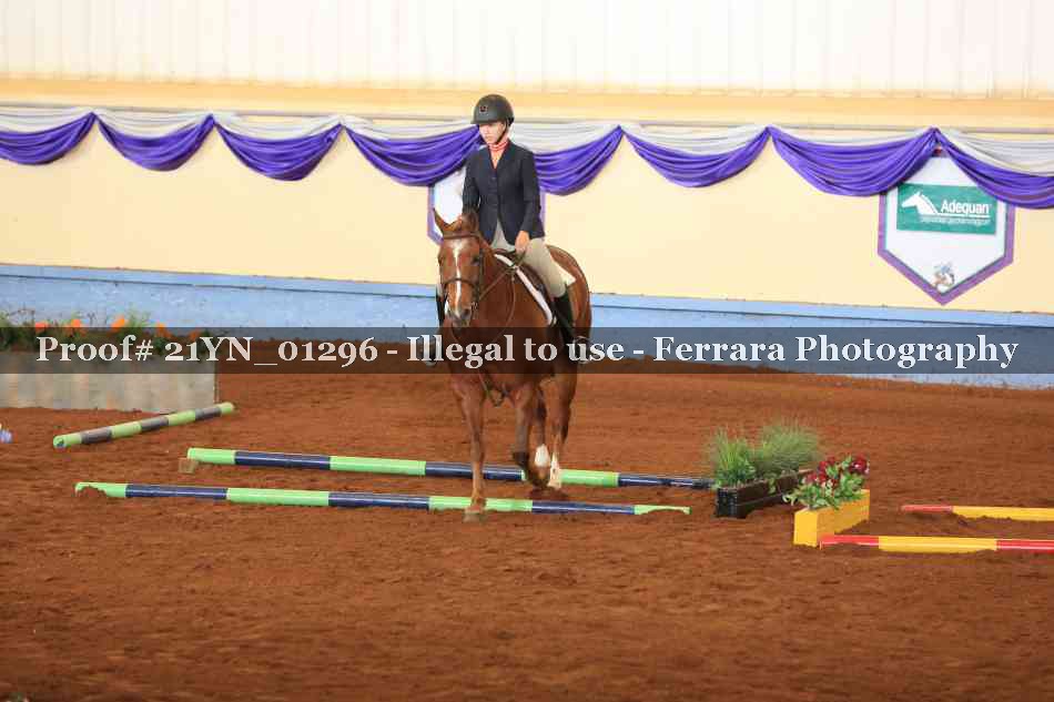 Proof 21YN_01296