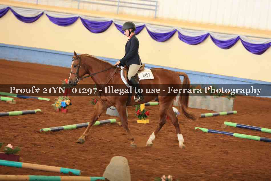 Proof 21YN_01297