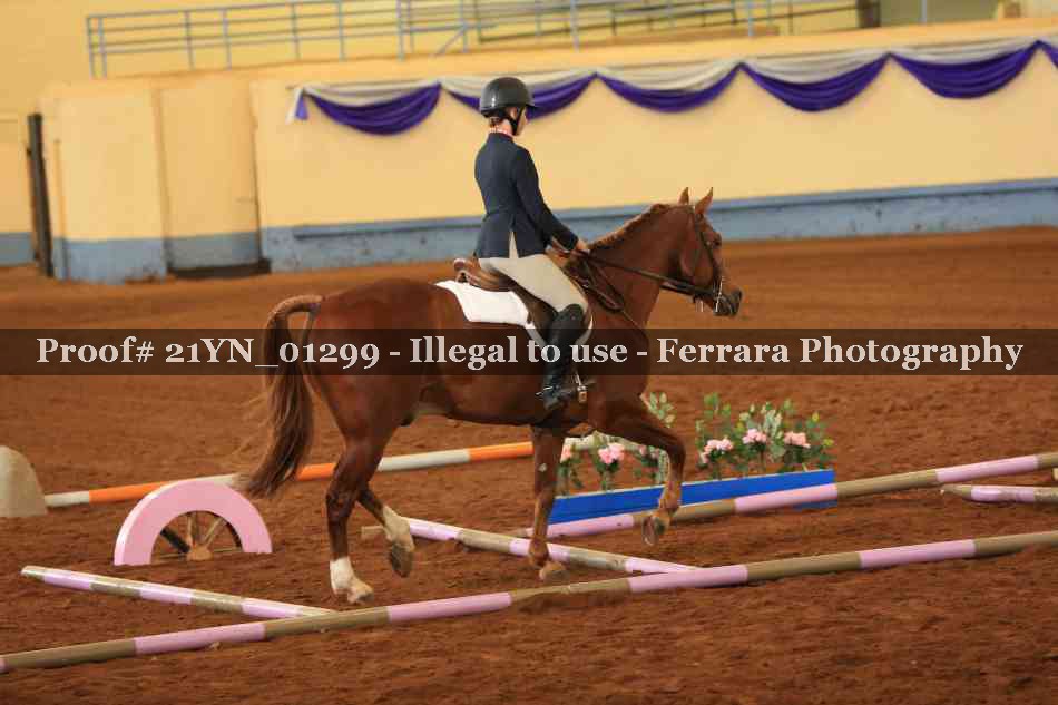 Proof 21YN_01299