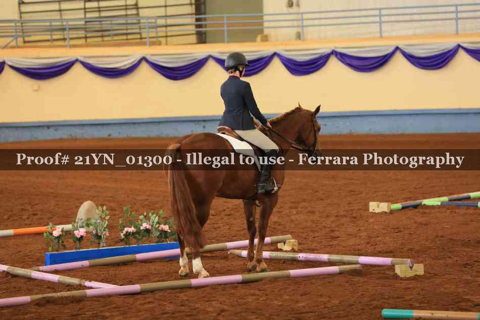 Proof 21YN_01300