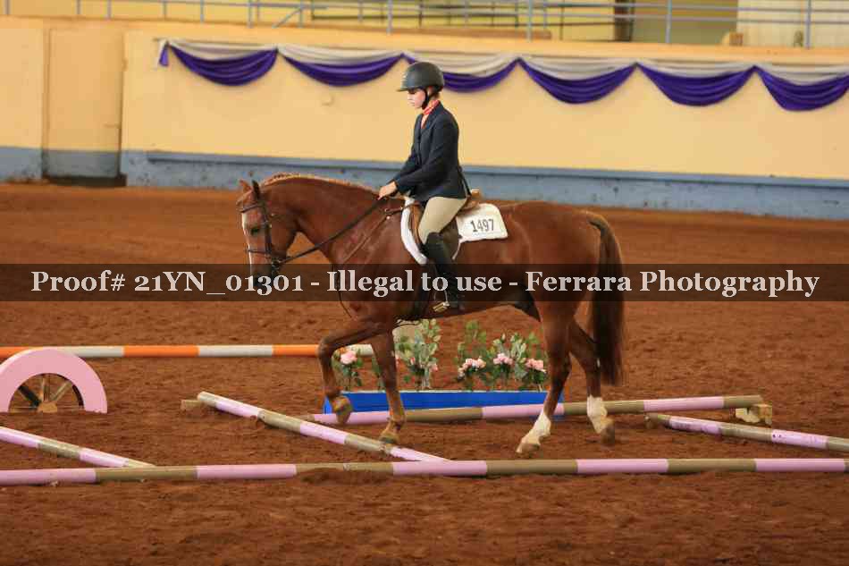 Proof 21YN_01301