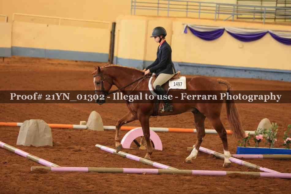 Proof 21YN_01302