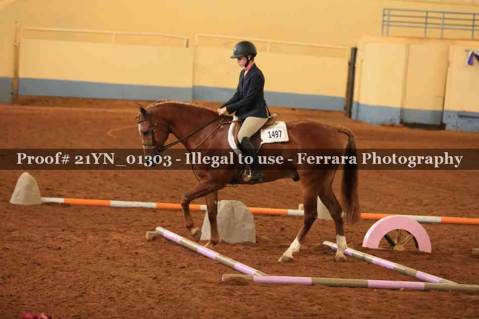 Proof 21YN_01303