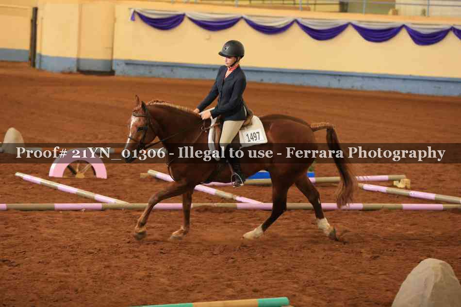Proof 21YN_01306