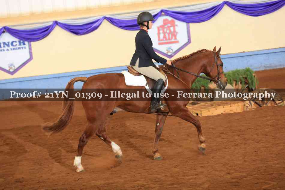 Proof 21YN_01309