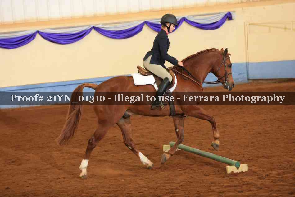 Proof 21YN_01310