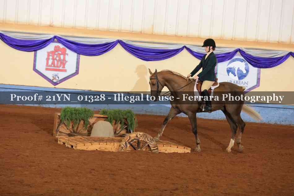 Proof 21YN_01328