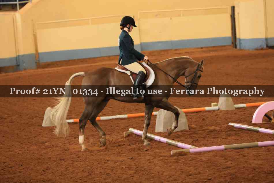 Proof 21YN_01334