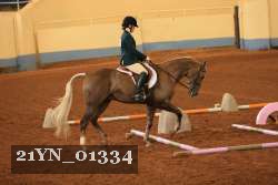 21YN_01334 proof