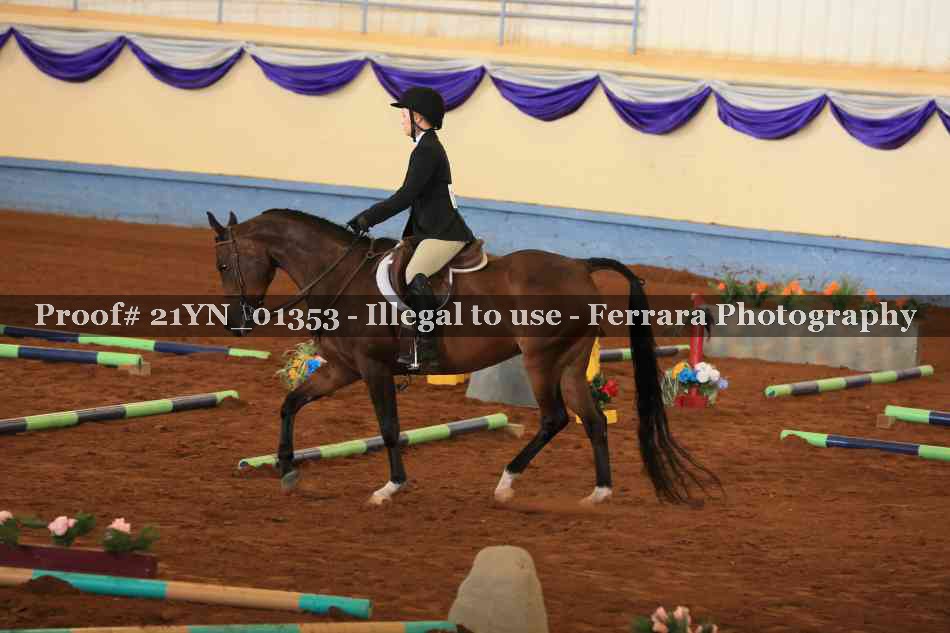 Proof 21YN_01353