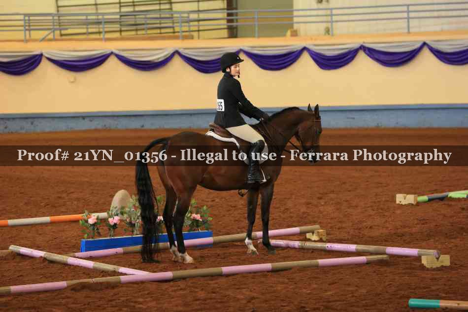 Proof 21YN_01356
