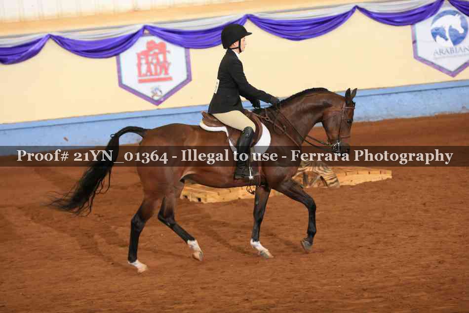 Proof 21YN_01364