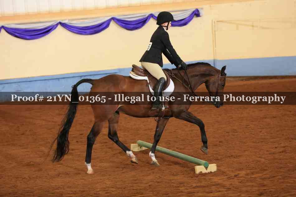 Proof 21YN_01365