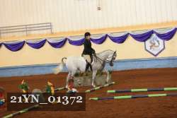 21YN_01372 proof