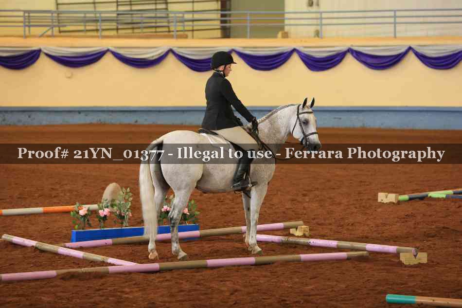 Proof 21YN_01377