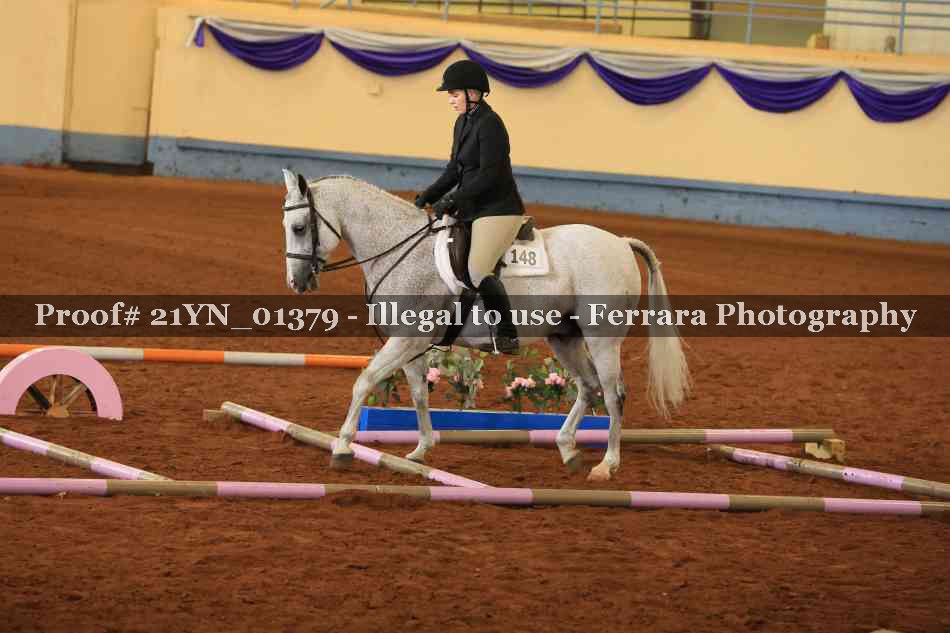 Proof 21YN_01379