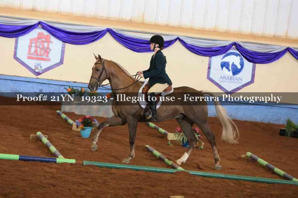 Proof 21YN_19323