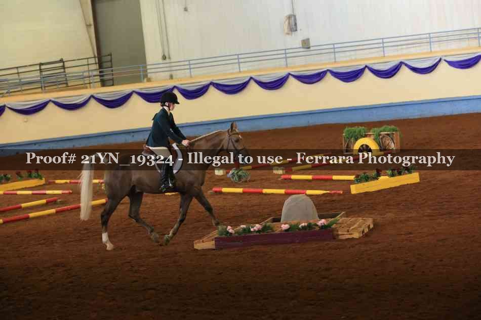 Proof 21YN_19324