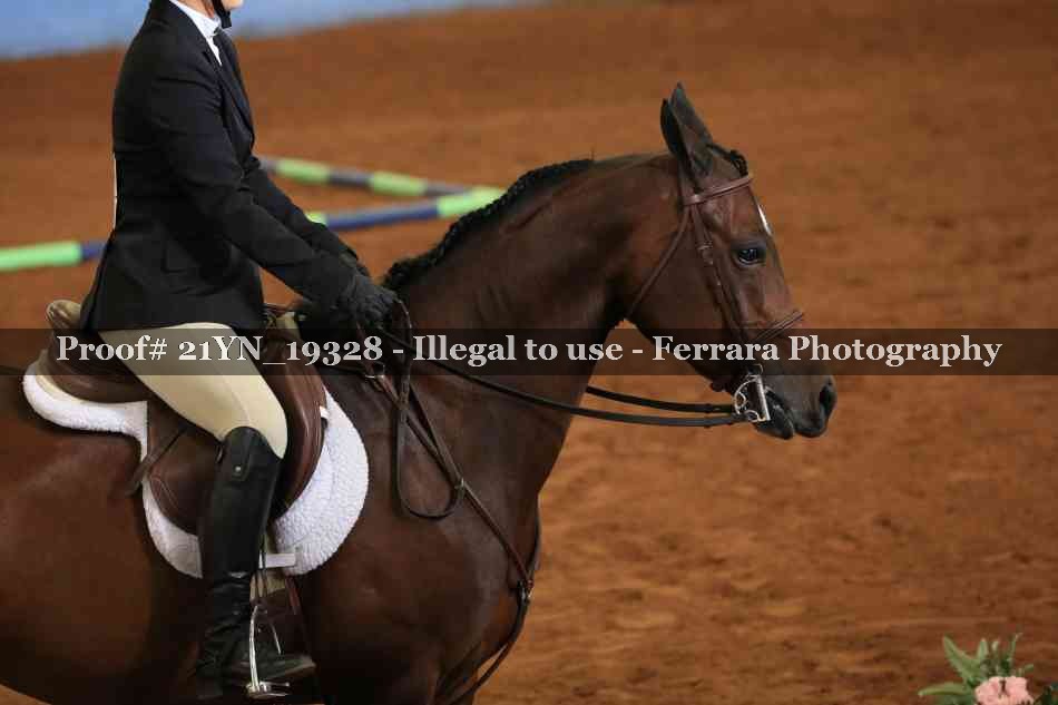 Proof 21YN_19328