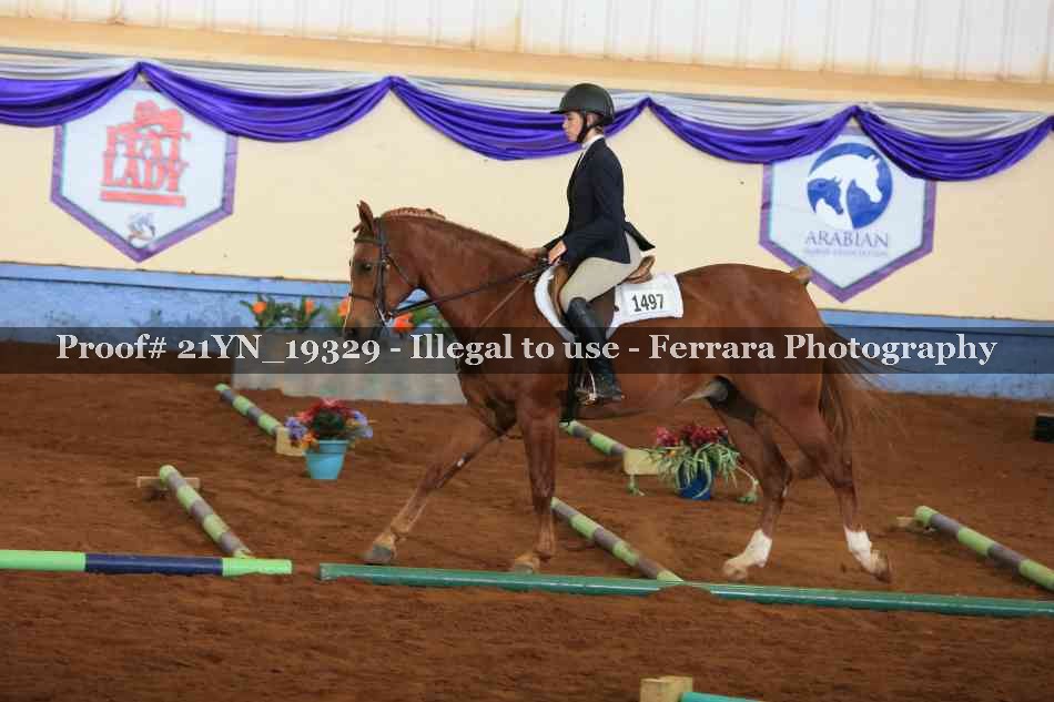 Proof 21YN_19329