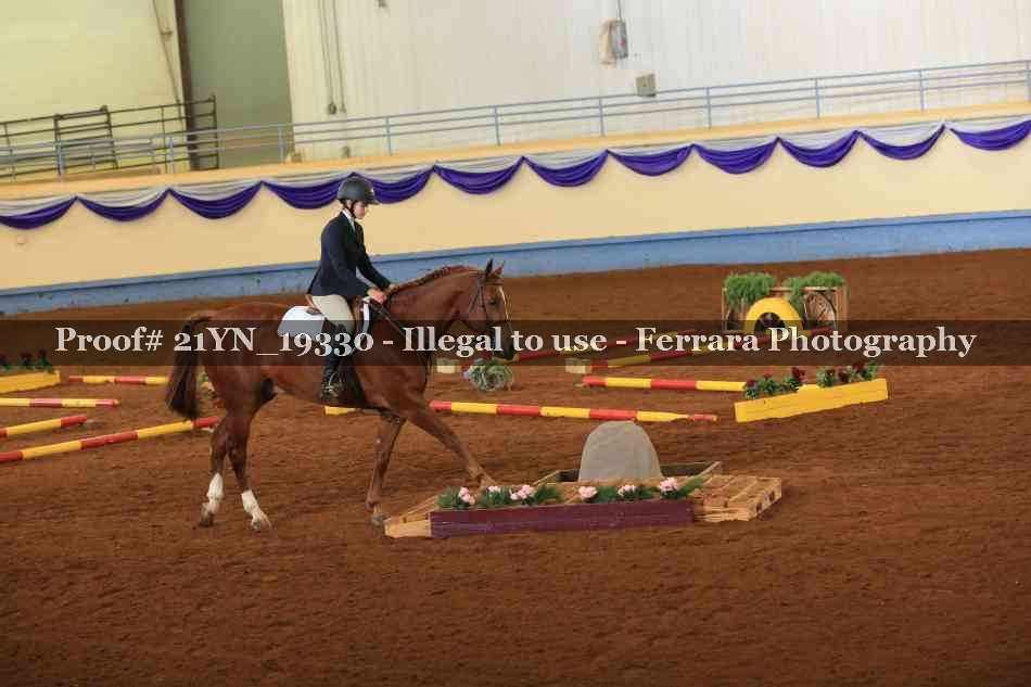 Proof 21YN_19330
