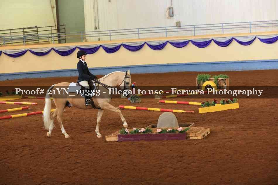 Proof 21YN_19333