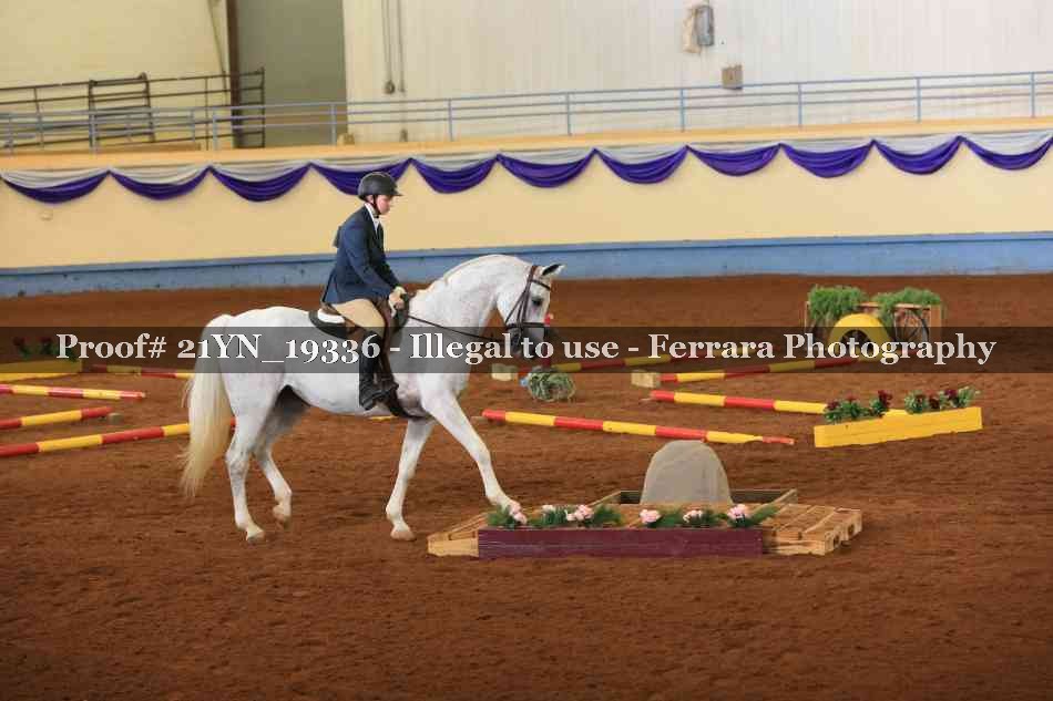 Proof 21YN_19336