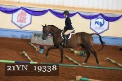 21YN_19338 proof