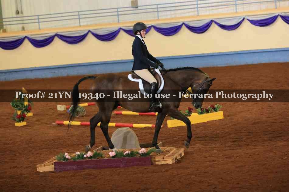 Proof 21YN_19340