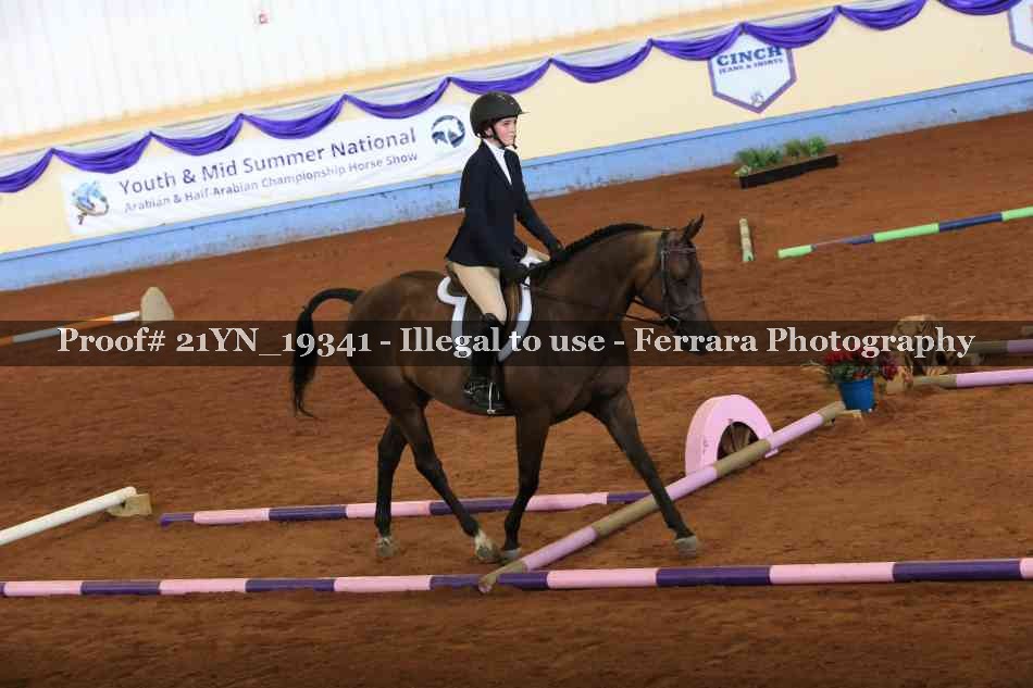 Proof 21YN_19341