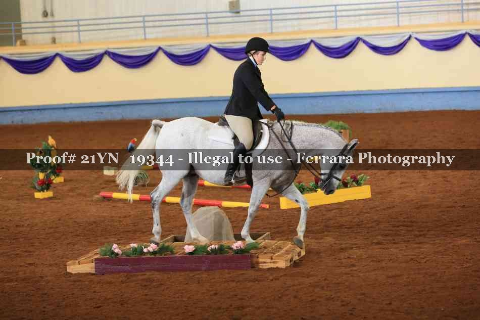 Proof 21YN_19344