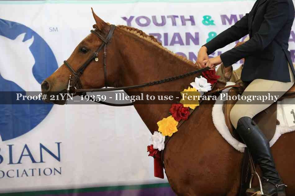 Proof 21YN_19359