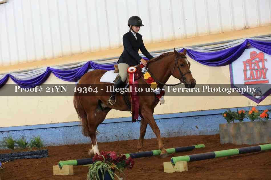 Proof 21YN_19364