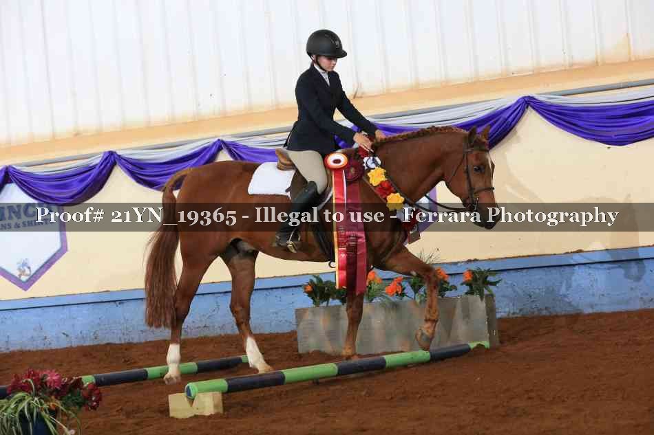 Proof 21YN_19365