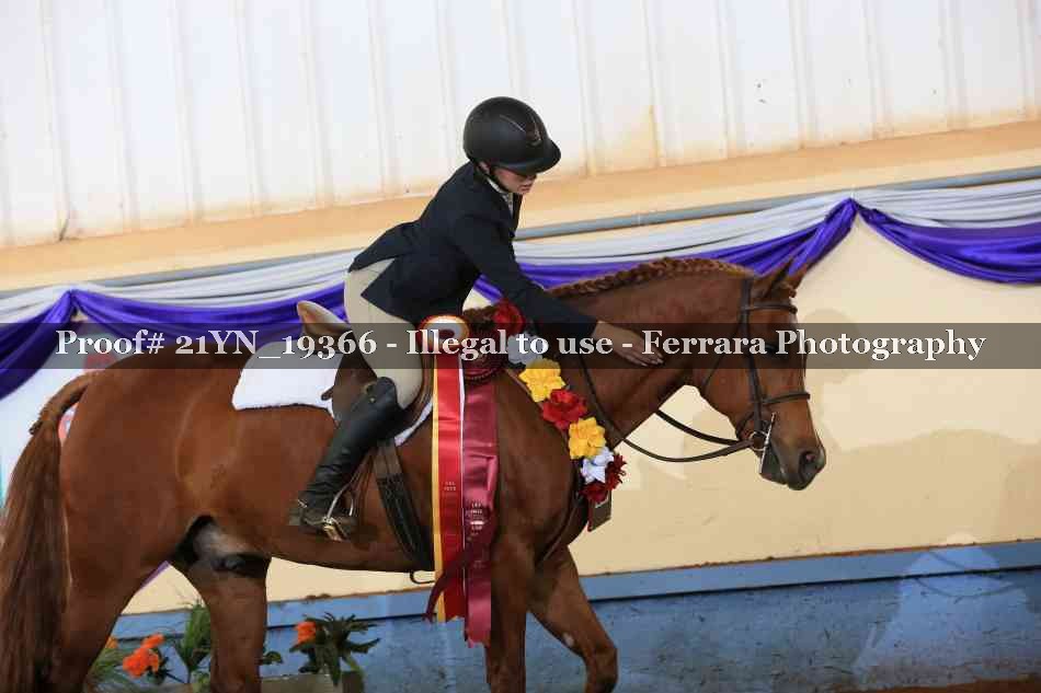 Proof 21YN_19366