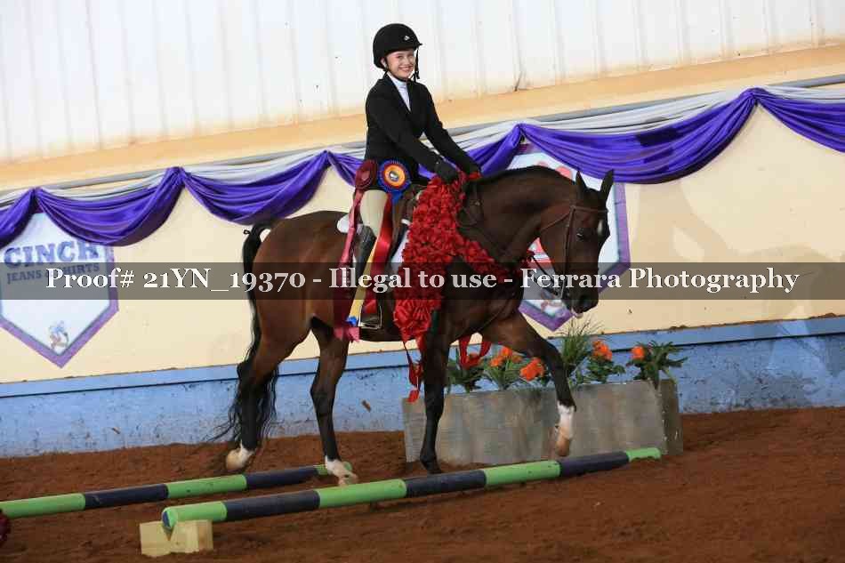 Proof 21YN_19370