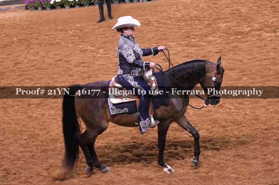 Proof 21YN_46177