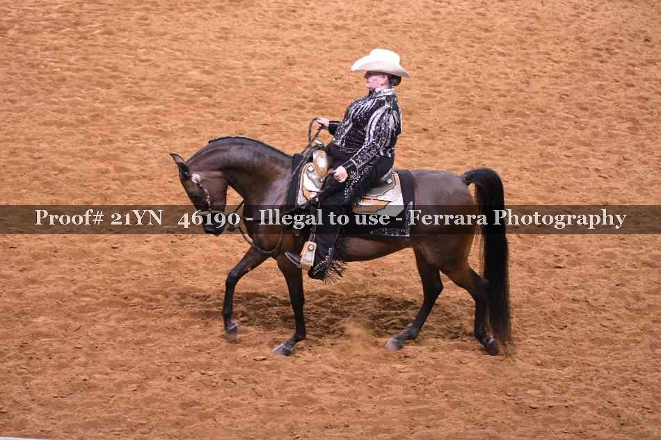 Proof 21YN_46190