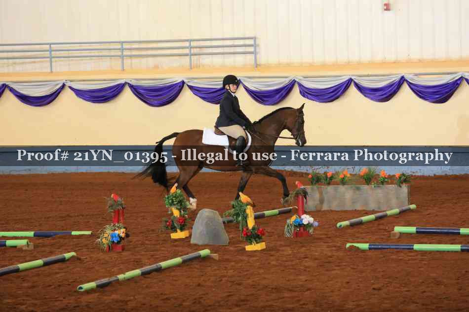 Proof 21YN_01395