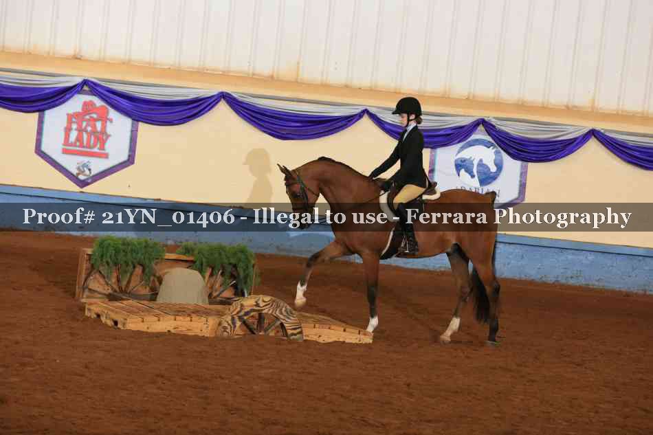 Proof 21YN_01406