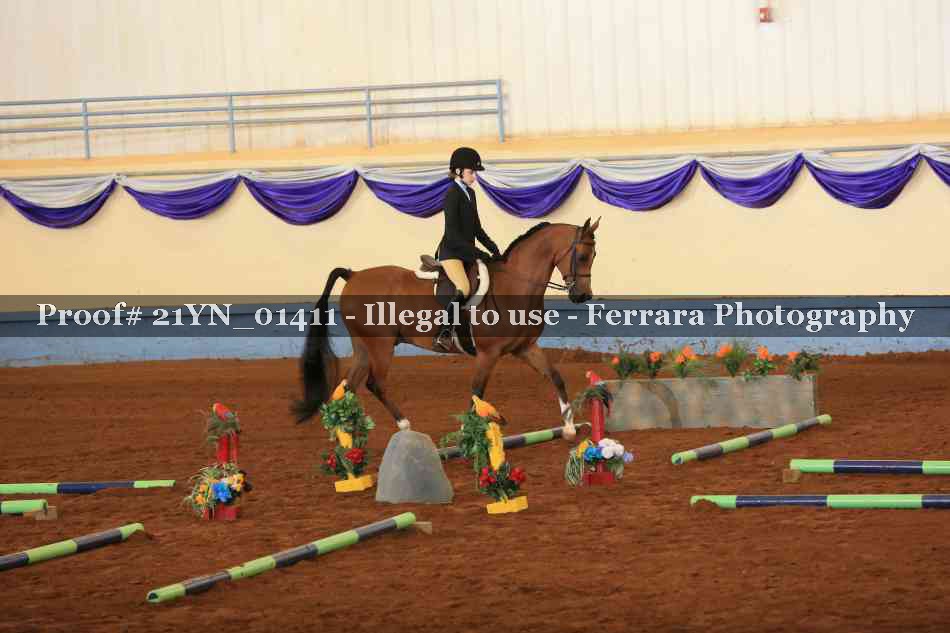 Proof 21YN_01411