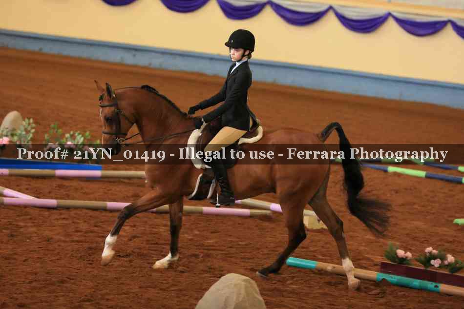 Proof 21YN_01419