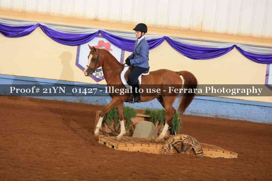 Proof 21YN_01427