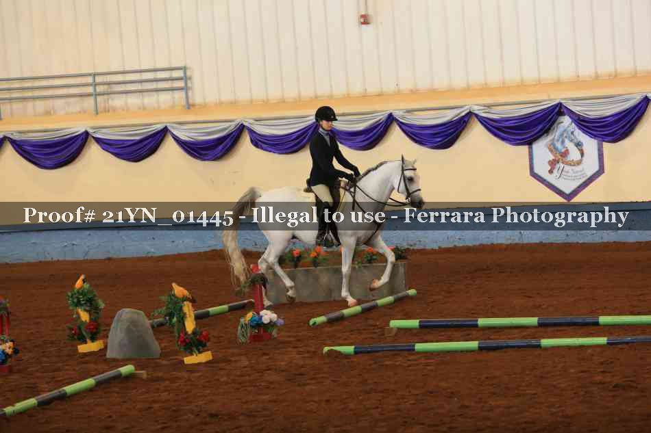 Proof 21YN_01445